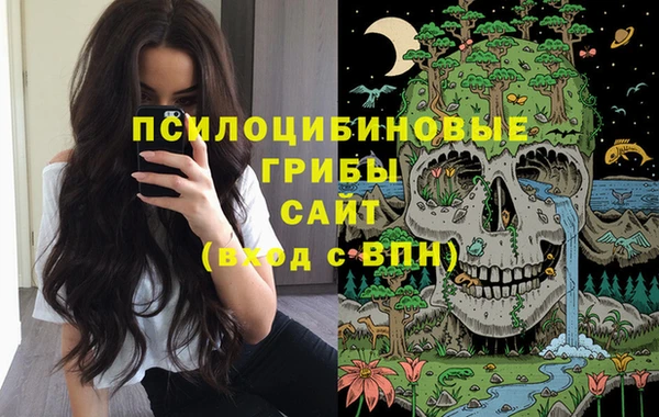 гашик Богородицк