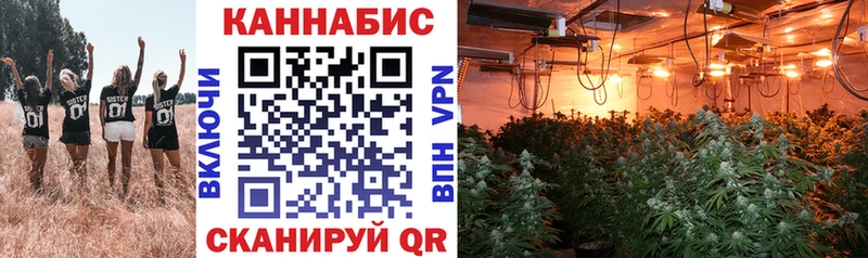 Бошки Шишки Bruce Banner  Новошахтинск 